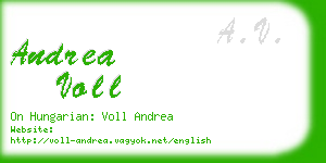 andrea voll business card